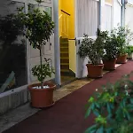 Seafront Apartment Makarska